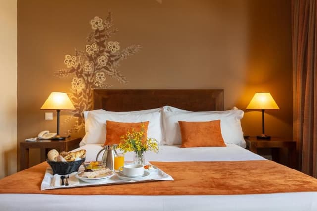 Plus Double or Twin Room