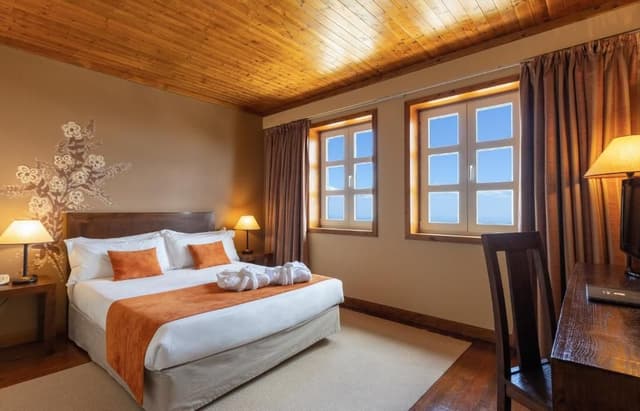 Plus Double or Twin Room