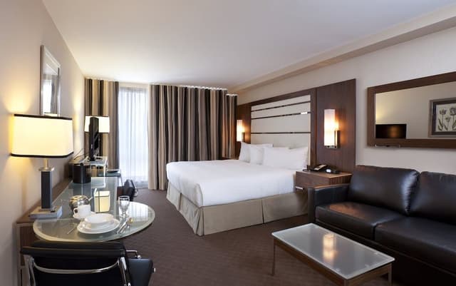 Deluxe Studio, 1 King Bed with Sofa bed