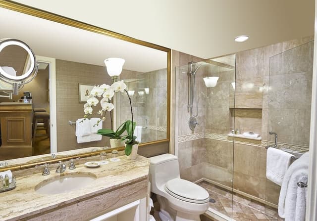Wedgewood King Suite, Jetted tub, City View
