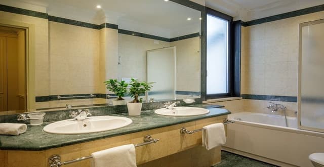 Junior Studio Suite