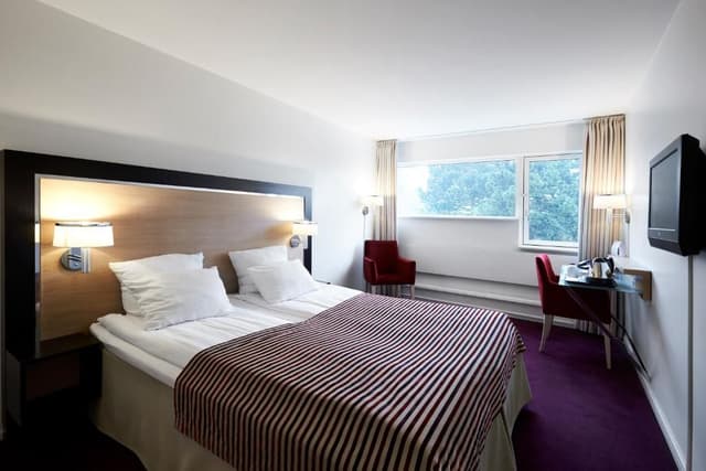 Superior Single Room