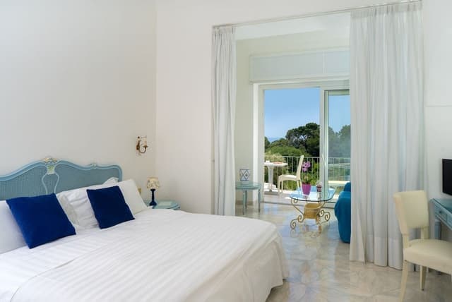 Superior Double or Twin Room, Sea View
