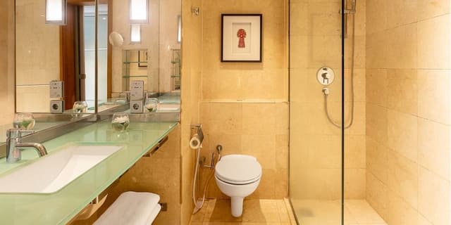 Premier Room