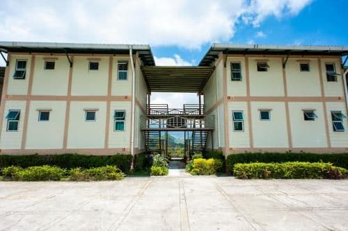 Kinabalu Wing