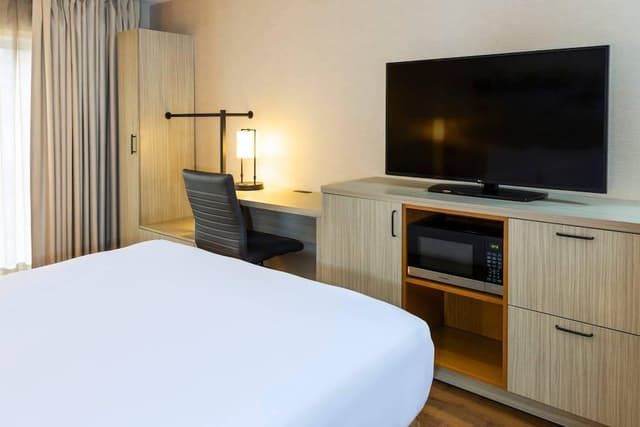 Room, 1 King Bed with Sofa bed, Non Smoking