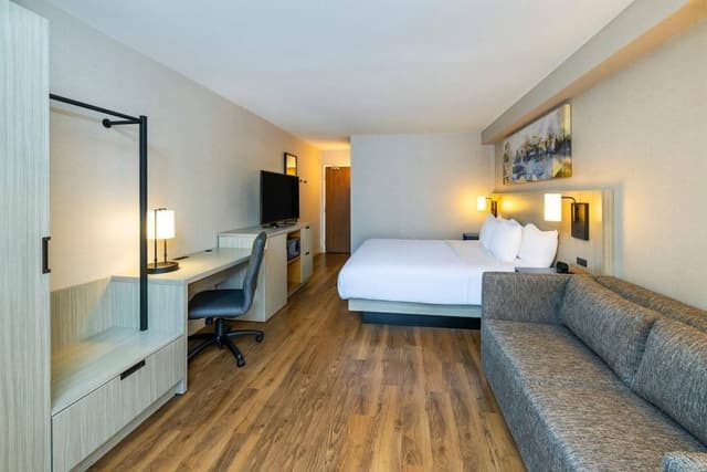 Room, 1 King Bed, Non Smoking