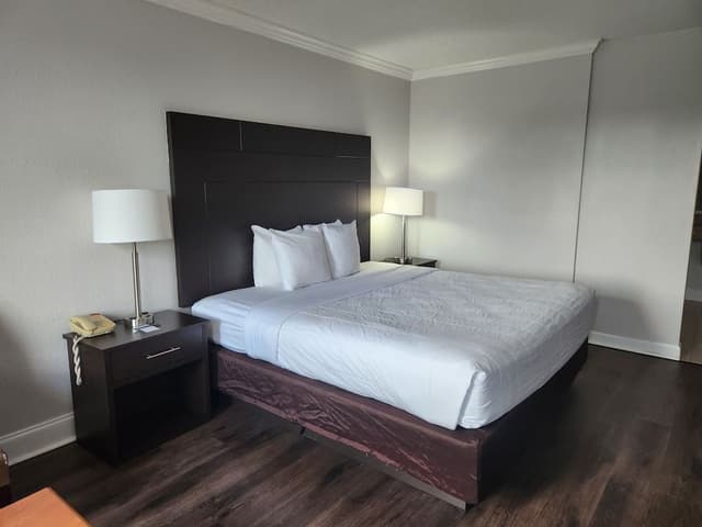Standard Room, 1 King Bed, Accessible