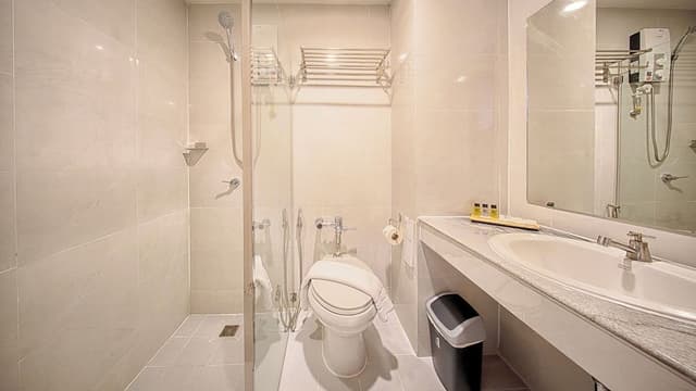 Superior Premier Room