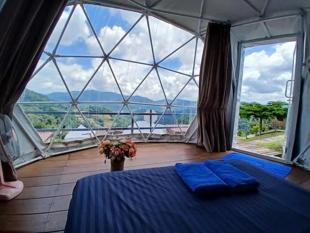 Standard Tent, Mountain View