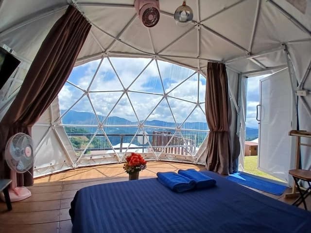 Standard Tent, Mountain View