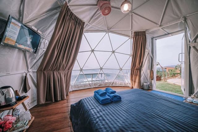 Standard Tent, Mountain View