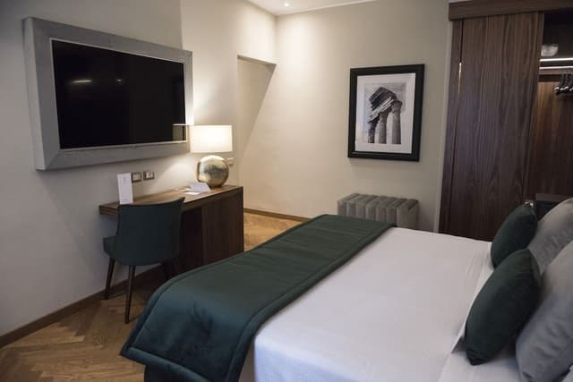 Superior Double or Twin Room
