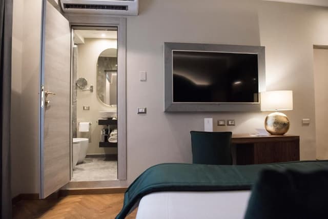 Superior Double or Twin Room