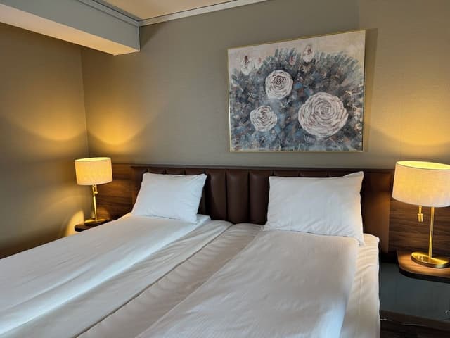 Superior Twin Room, Lake View