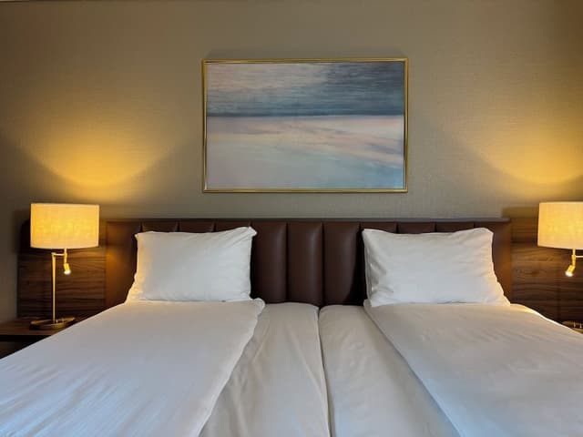 Superior Twin Room, City View