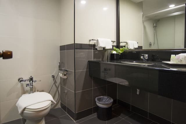 Superior Double or Twin Room