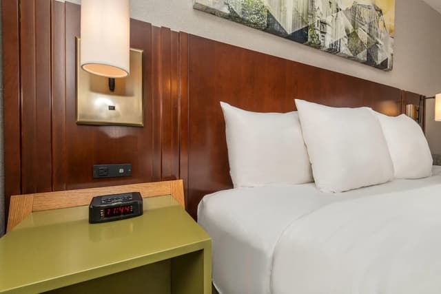 Room, 1 King Bed with Sofa bed, Non Smoking (Upgrade, Pet Friendly)