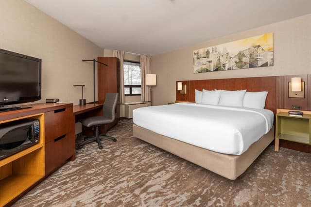 Room, 1 King Bed with Sofa bed, Non Smoking (Upgrade, Pet Friendly)