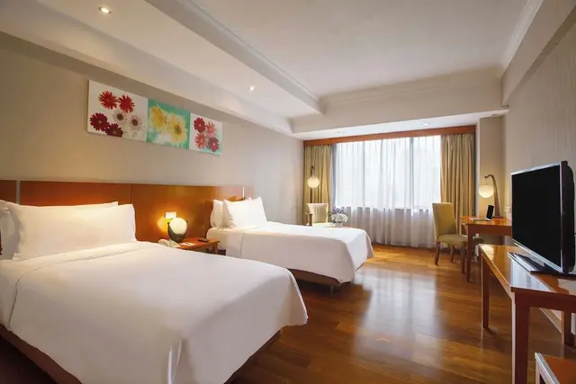 Deluxe Double or Twin Room, City View