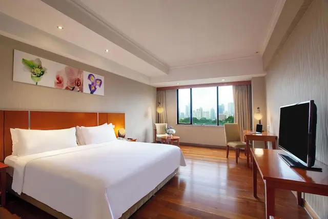 Deluxe Double or Twin Room, City View