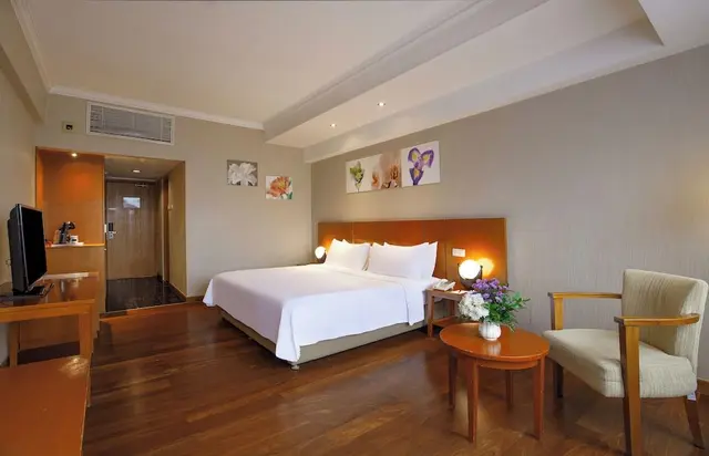 Deluxe Double or Twin Room, City View