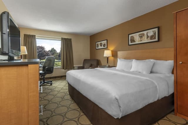 Comfort Care, Standard Room, 1 Queen Bed