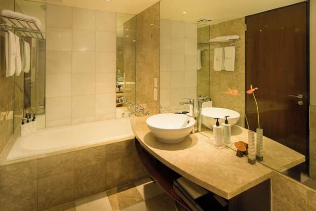 Deluxe Suite (Washlet equipped)