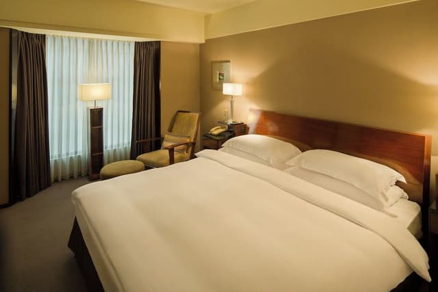 Deluxe Suite (Washlet equipped)