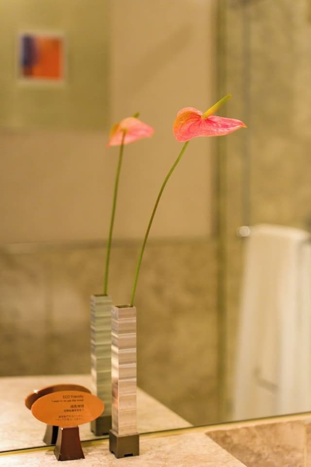 Deluxe Suite (Washlet equipped)