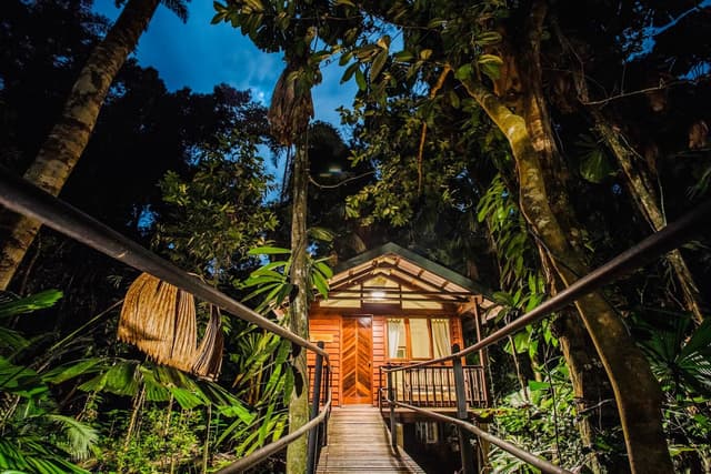 Rainforest Room