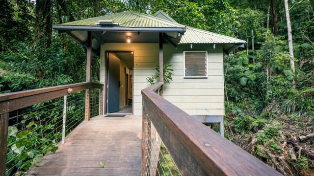 Rainforest Bayan Room