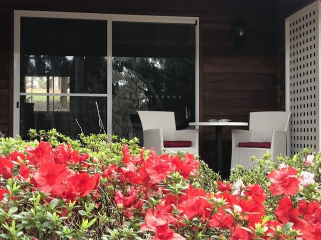 Panoramic Studio Suite, Multiple Beds, Kitchen, Garden View
