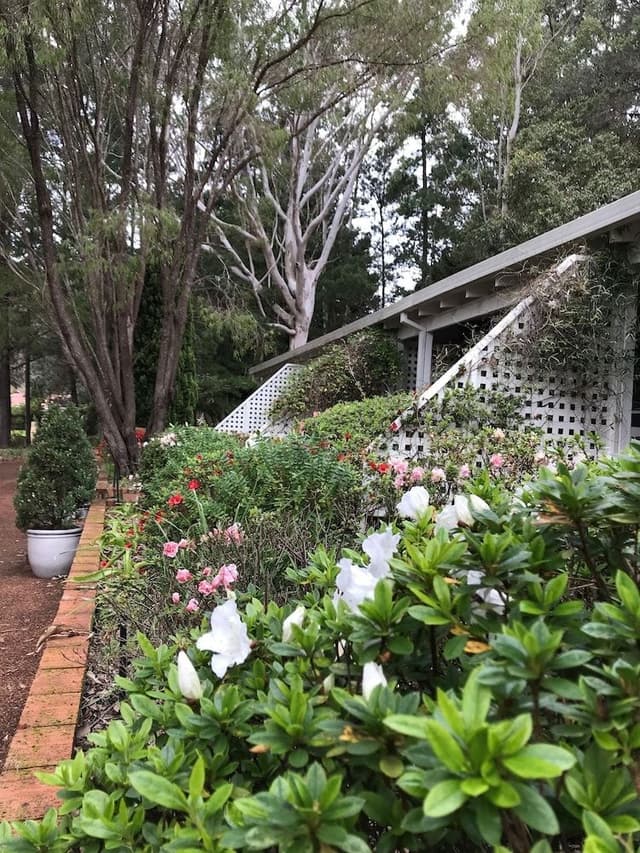 Panoramic Studio Suite, Multiple Beds, Kitchen, Garden View
