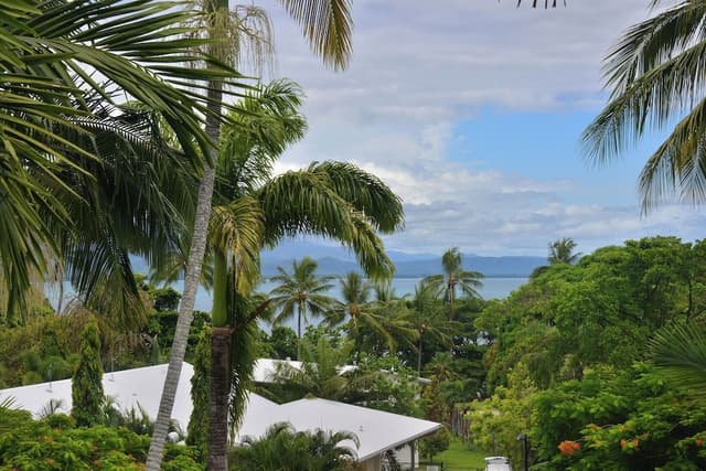Tropical 1 Bedroom Apartment