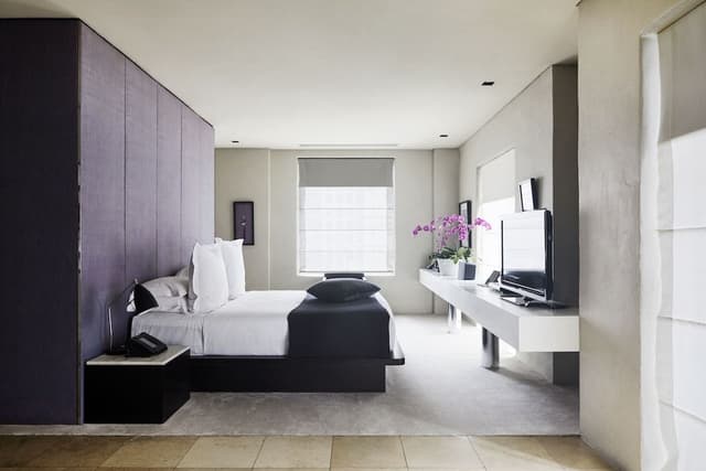 Duplex Penthouse