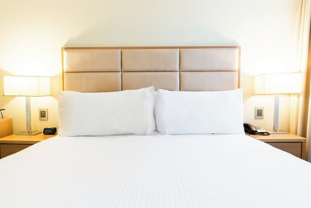 Suite, 1 King Bed