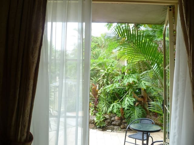 Executive King Spa Courtyard