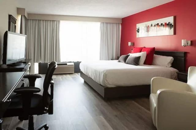 Executive Suite, 1 King Bed