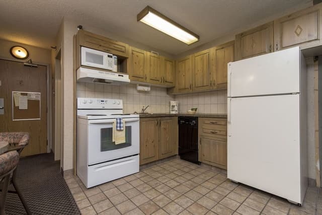 Studio, 1 Queen Bed with Sofa bed, Kitchen
