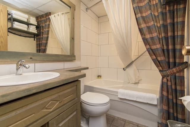 Studio, 1 Queen Bed with Sofa bed, Kitchen