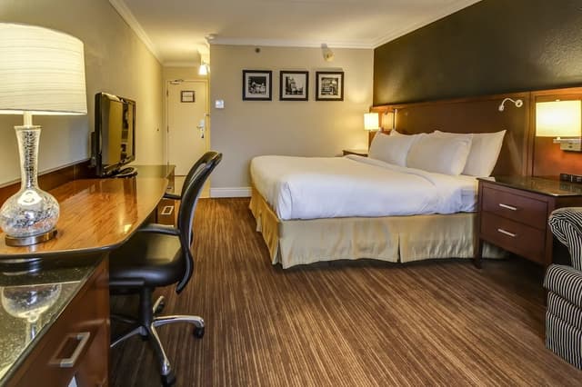 Standard Room, 1 King Bed with Sofa bed
