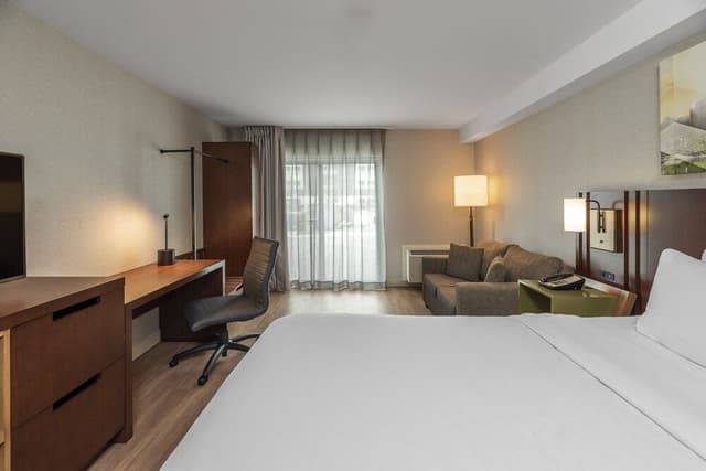 Standard Room, 1 King Bed with Sofa bed, Non Smoking