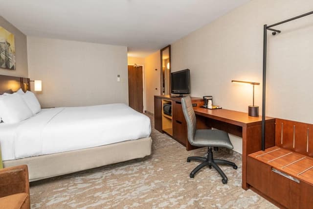 Standard Room, 1 King Bed with Sofa bed, Non Smoking