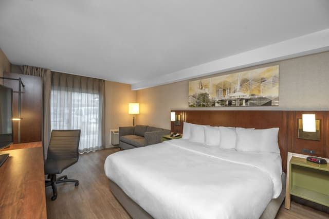Standard Room, 1 King Bed with Sofa bed, Non Smoking
