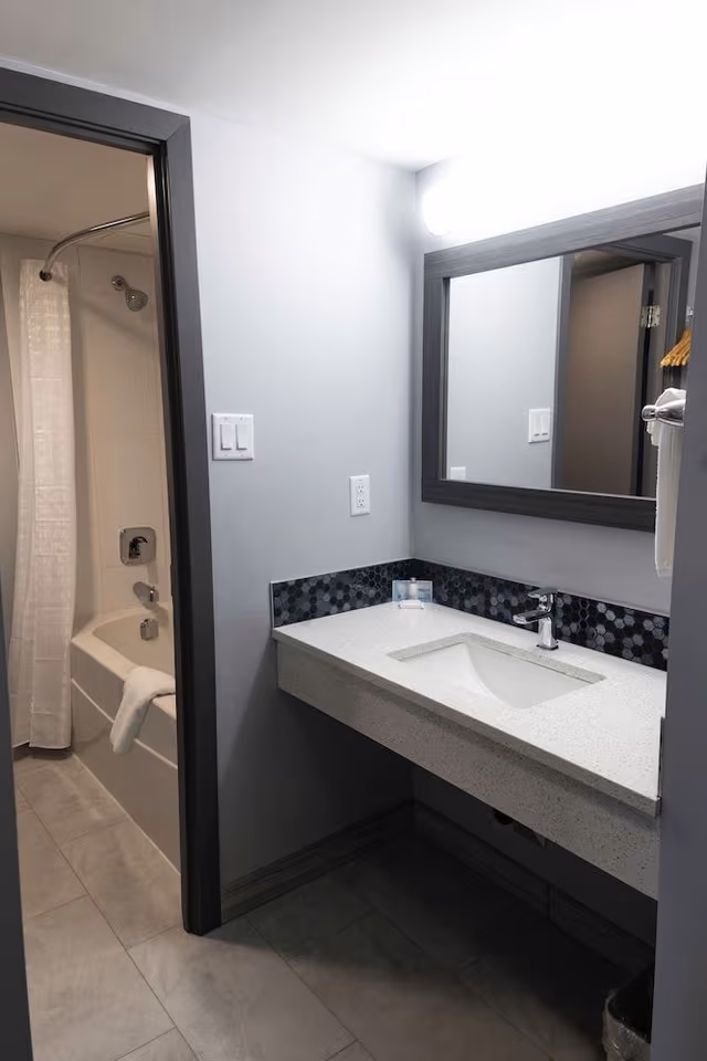 Business Room, 1 King Bed, Non Smoking