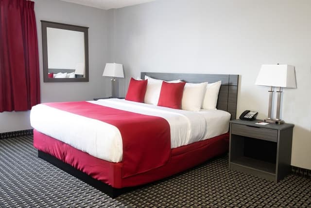 Business Room, 1 King Bed, Non Smoking