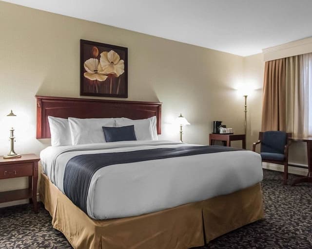 Standard Room, 1 King Bed, Non Smoking