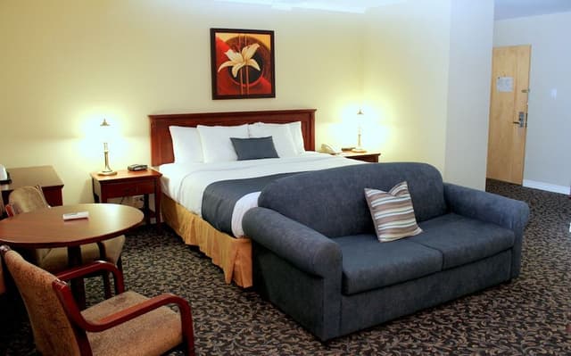 Standard Room, 1 King Bed, Non Smoking