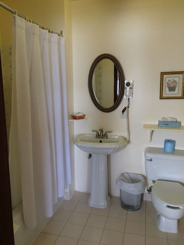 Classic Room, 1 King Bed